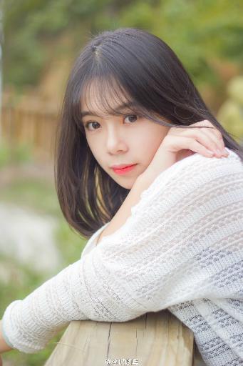 野兽们的战争在线观看免费版